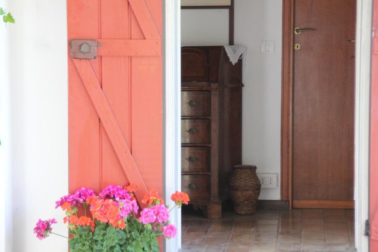 La Villa Del Nonno Montefelcino Bagian luar foto