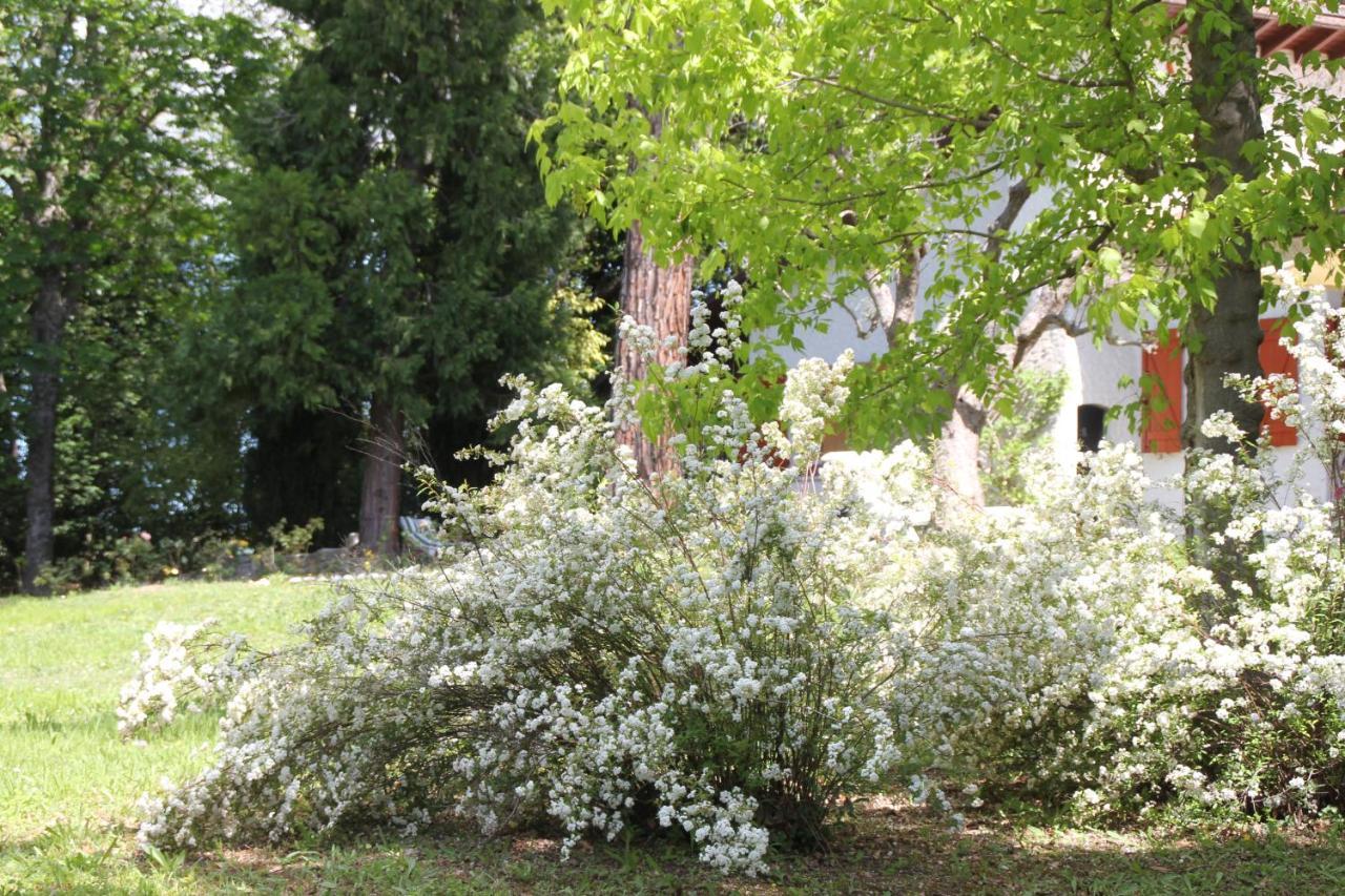 La Villa Del Nonno Montefelcino Bagian luar foto