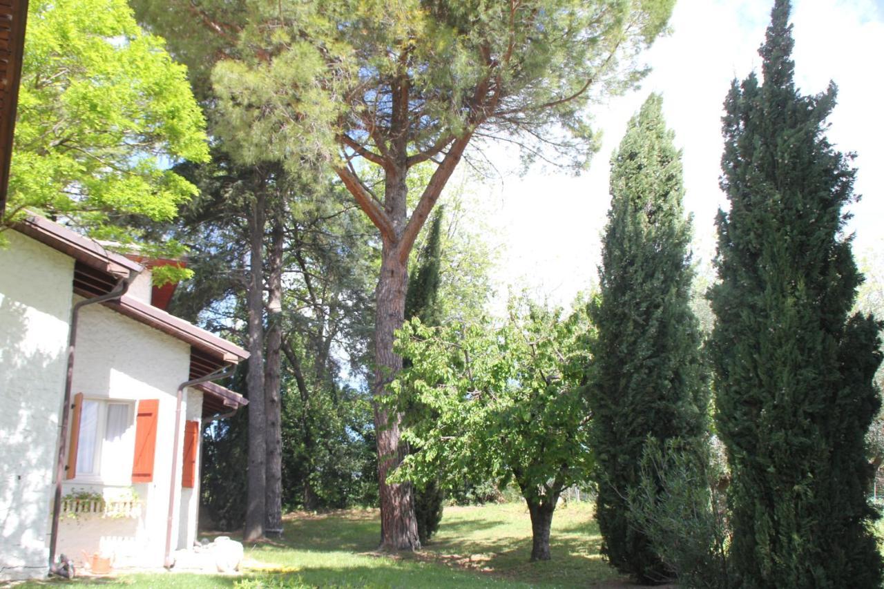 La Villa Del Nonno Montefelcino Bagian luar foto