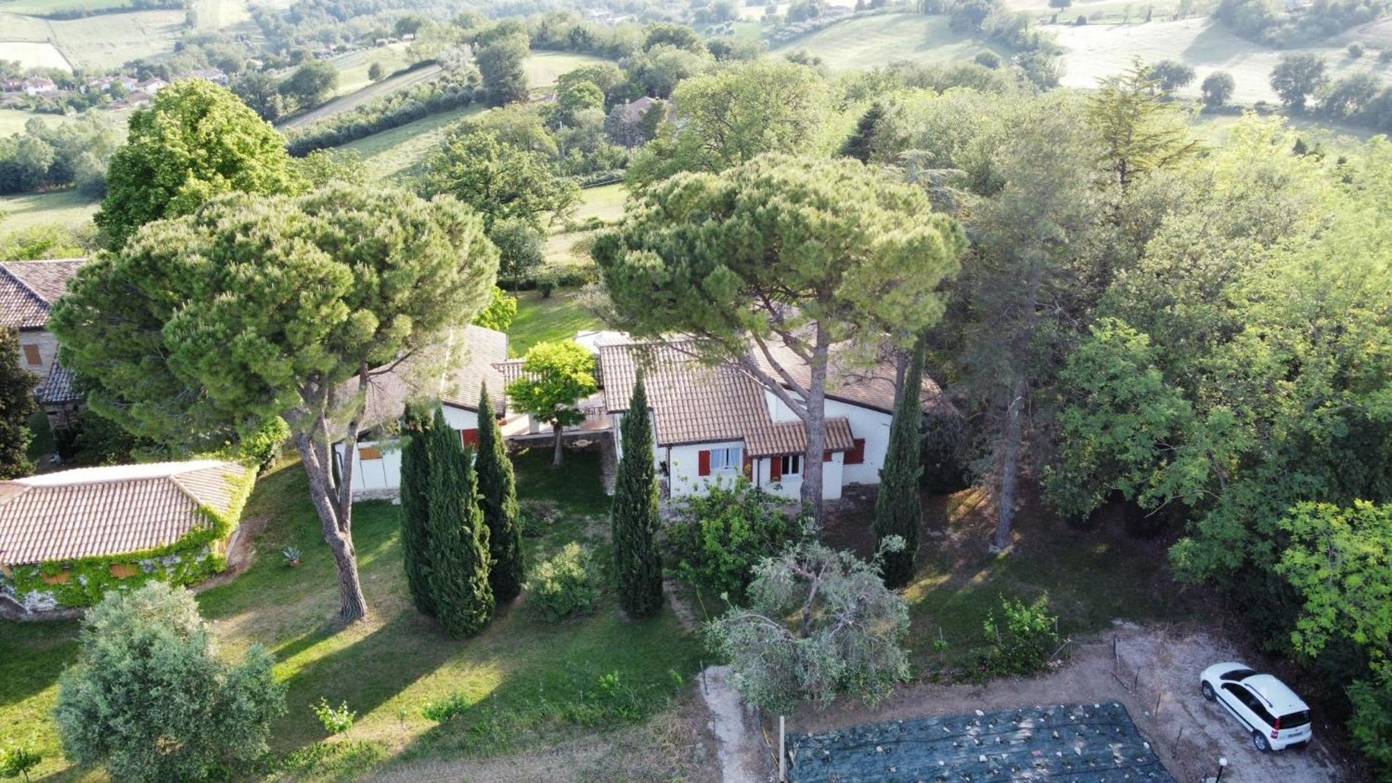 La Villa Del Nonno Montefelcino Bagian luar foto
